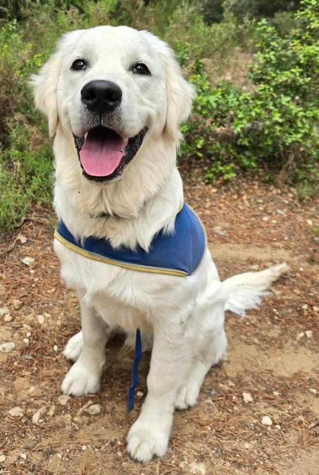 Comment faciliter la participation à des réunions d'informations pour les aidants et les proches ? 